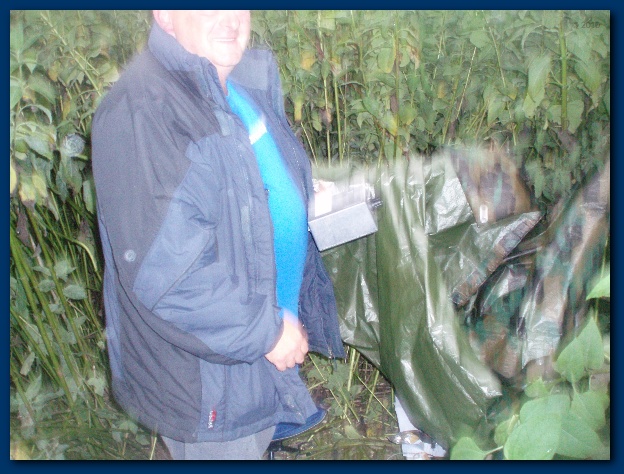 600x449 pixels (148K)